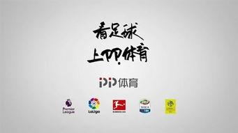 pp体育最新爆料,最新体育赛事动态揭秘